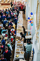 20240127-20240127-DSC 1667