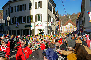 Narrensprung-NZ-Oberndorf 2023-18