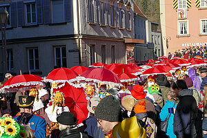 Narrensprung-NZ-Oberndorf 2023-13